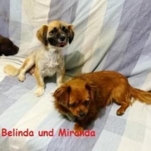 Belinda und Miranda