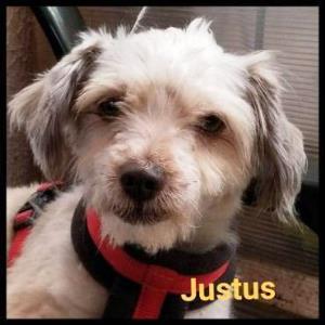 Justus