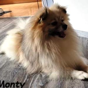 Monty 