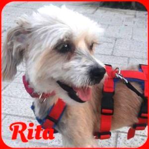 Rita_11
