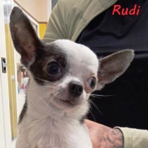 Rudi_22