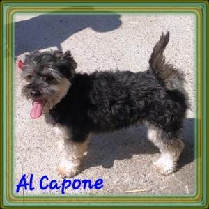 Al Capone