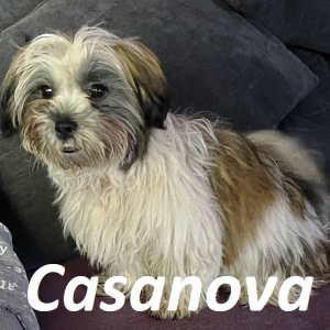 Casanova