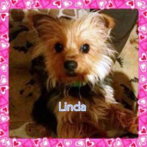 Linda