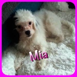 Mia