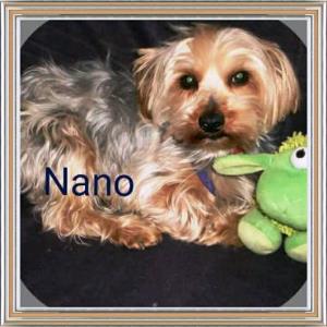 Nano