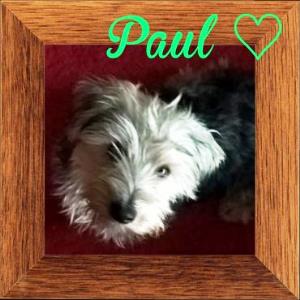 Paul